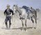 Trooper of the Plains Poster Print by Frederic Remington - Item # VARPDX282717